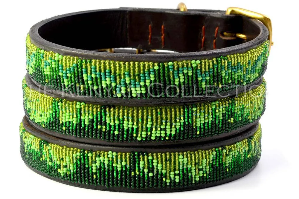 Rain Forest Belt Wide Width