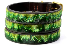 Rain Forest Belt Wide Width